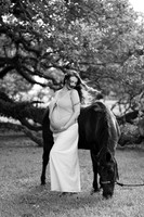 _AEL1331bw