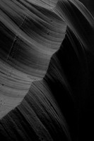 DSC_2302bw