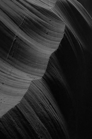DSC_2302bw