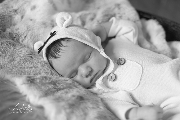 DSC_7167 copy
