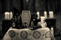 AEL_1671bw