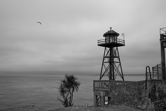 DSC_7933