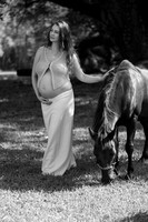 _AEL1361bw