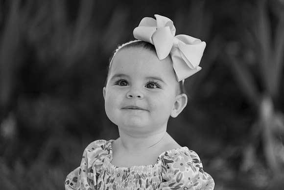 AEL_8737bw