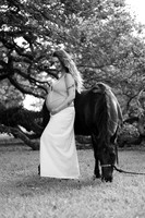 _AEL1337bw