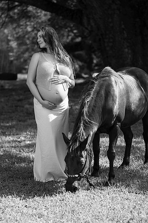 _AEL1364bw